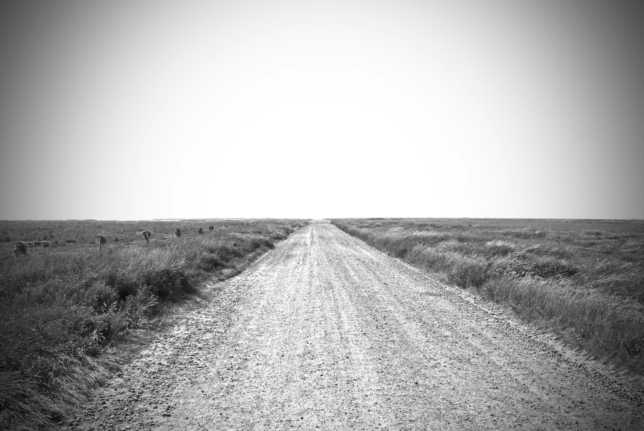 una strada sterrata in bianco e nero