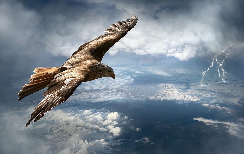 Un rapace che vola con un temporale in arrivo