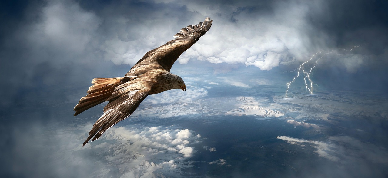 Un rapace che vola con un temporale in arrivo