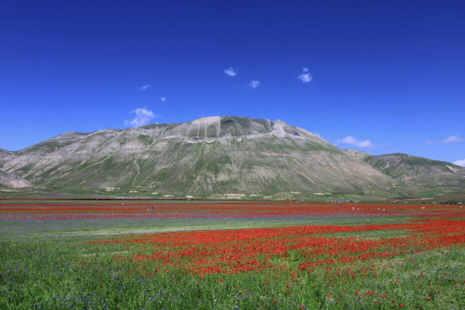 Uno scorcio del Piano Grande di Castelluccio nel Parco Nazionale dei Monti Sibillini