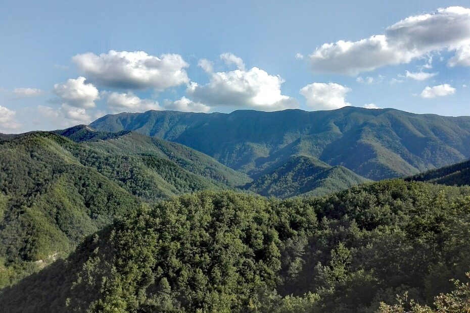 Parco Nazionale delle Foreste Casentinesi Author: Albarubescens