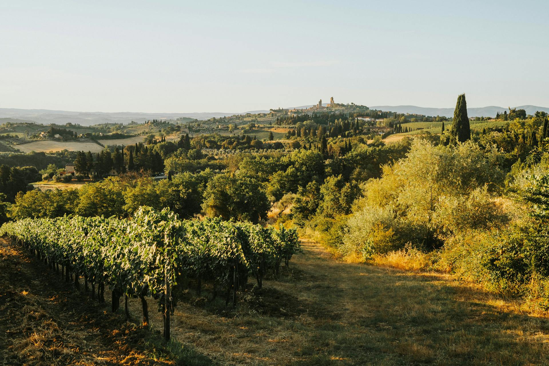 Uno scorcio di campagna nel cuore del Chianti