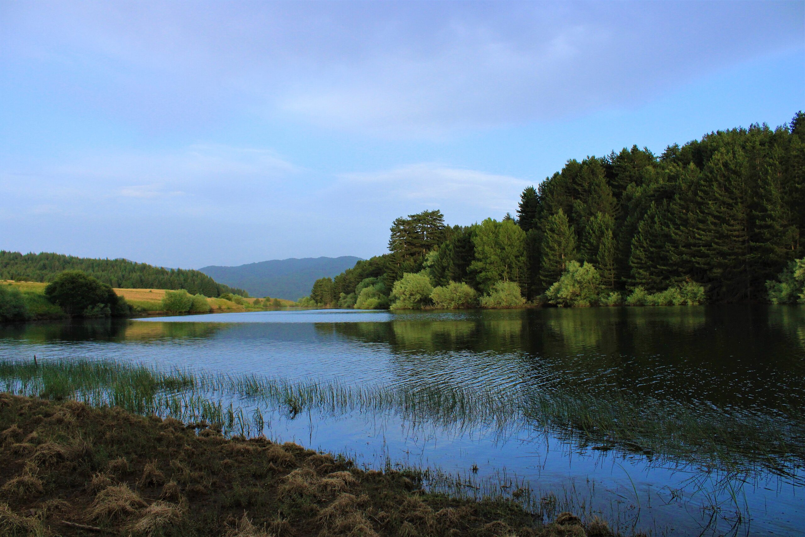 Una foto del Lago Cecita nel Parco Nazionale della Sila