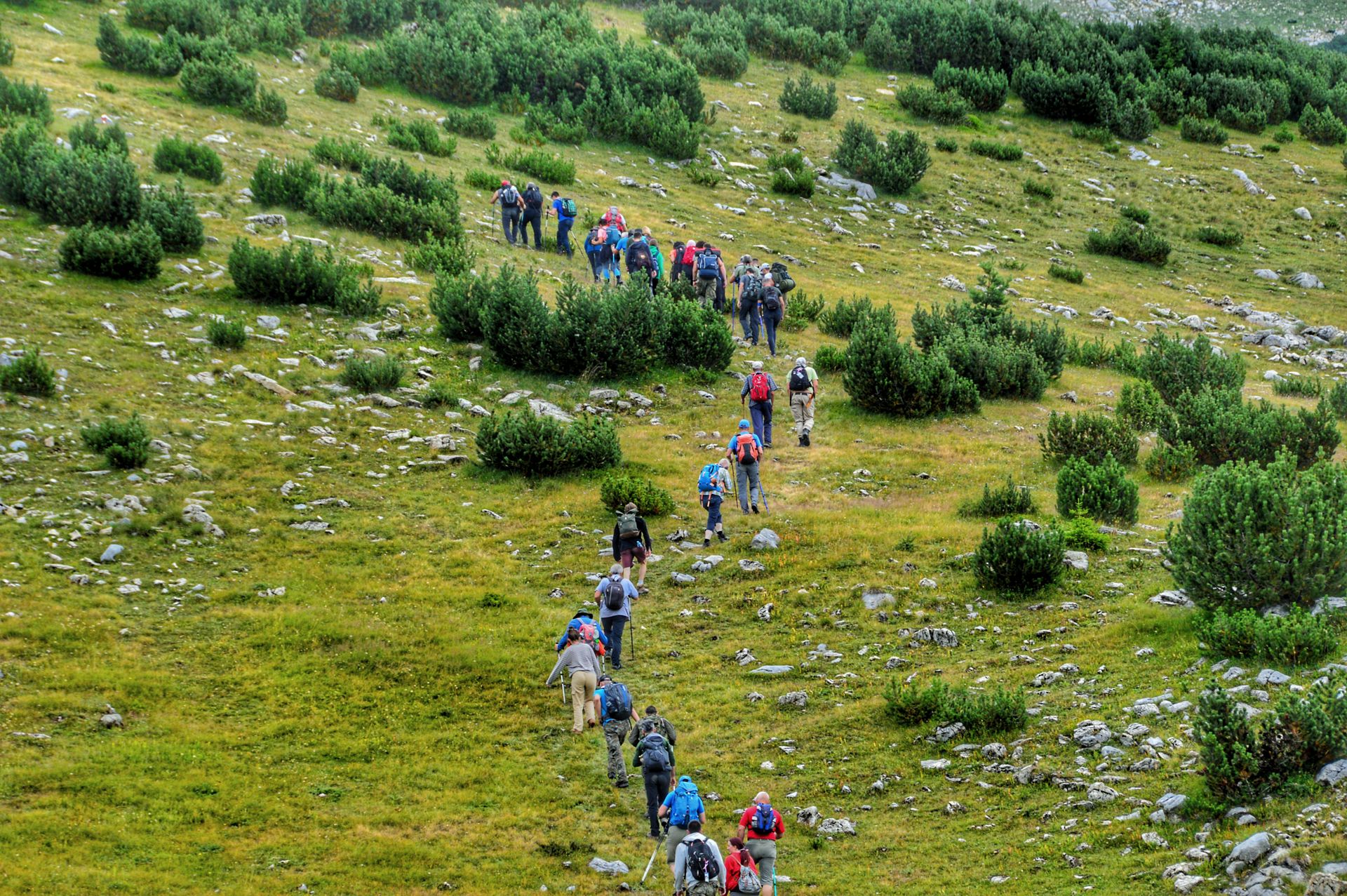 Gruppo di escursionisti che procedono educatamente lungo il sentiero