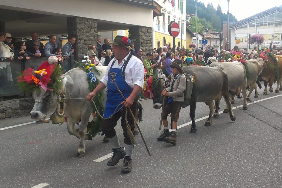 Una delle principale feste tradizionali di montagna, la desmontegada
